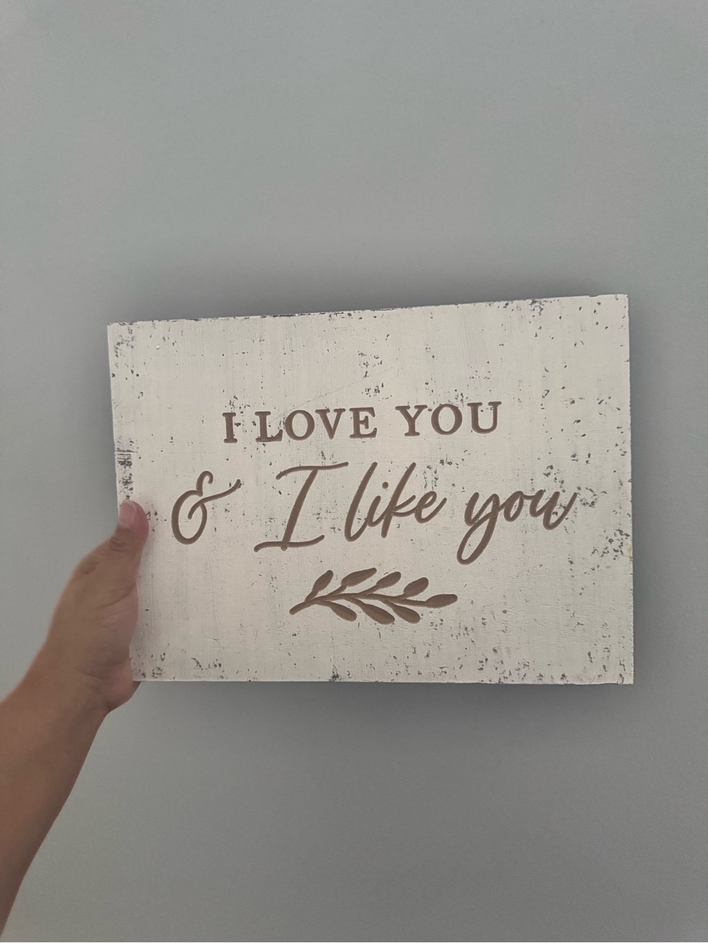 Rustic White "I Love You & I Like You" Wall Sign